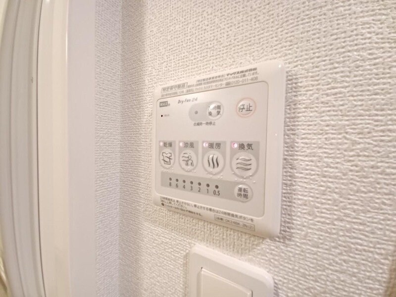 同型参考写真 スイフヨウ　Ｂ