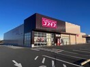 ディスカウントドラッグコスモス上地店(ドラッグストア)まで1819m インプレスＫＭ　Ｂ棟