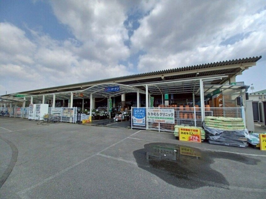 コーナンPRO松阪塚本店(電気量販店/ホームセンター)まで665m シャンティーク