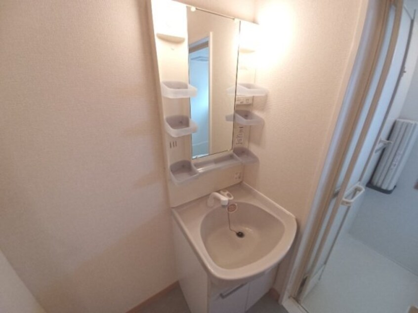 同物件別室反転タイプ コスモスハウス　Ｄ