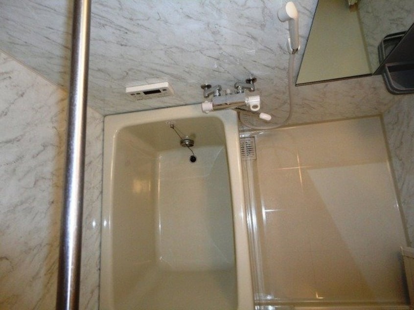 同型参考写真 ビューフォートⅡ