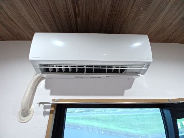  Ｐｒｏｍｉｎｅｎｔ　Ｌｅｐｉｄｕｓ