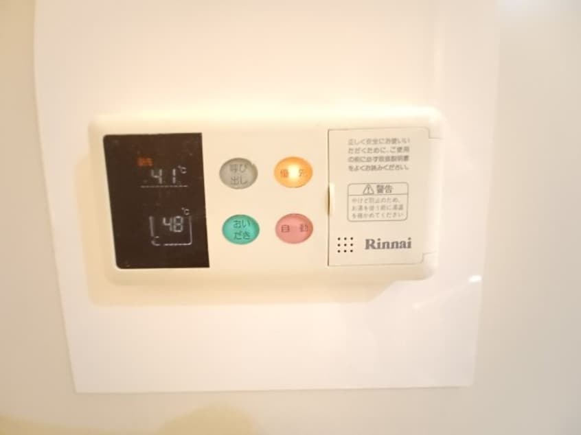  Ｐｒｏｍｉｎｅｎｔ　Ｌｅｐｉｄｕｓ