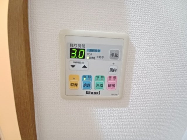  Ｐｒｏｍｉｎｅｎｔ　Ｌｅｐｉｄｕｓ