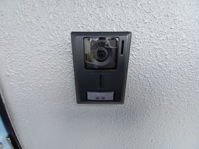  Ｐｒｏｍｉｎｅｎｔ　Ｌｅｐｉｄｕｓ