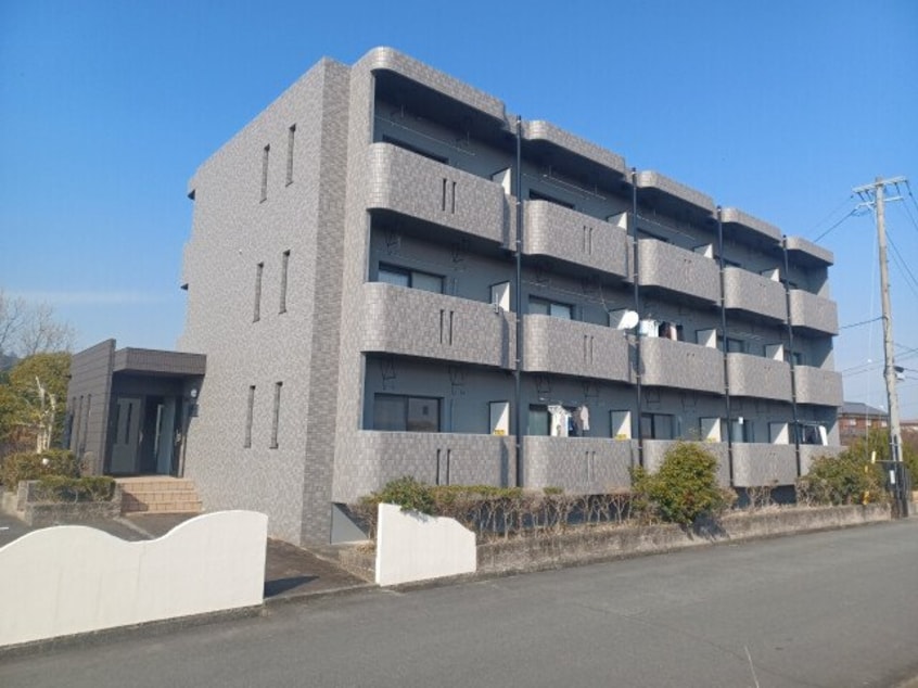  Ｐｒｏｍｉｎｅｎｔ　Ｌｅｐｉｄｕｓ