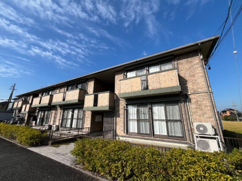  ｆｉｎｄ ｂｉｒｄｉｅ　Ｄ