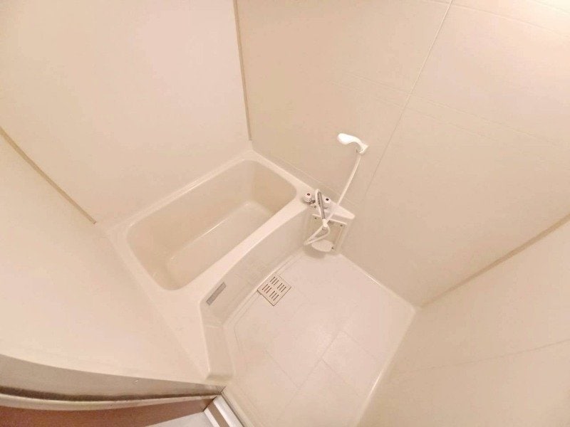  シャルマン・ドミールB