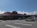 エーコープくしだ店(スーパー)まで1914m サンガーデン上川　Ａ棟
