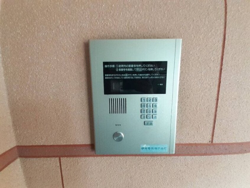  パレドールＫｏｎｉｓｈｉ