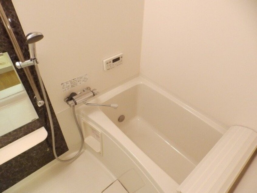 同型参考写真 エルシオン