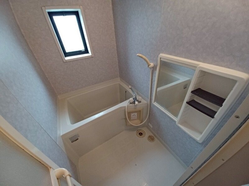 同型反転参考写真 ルーチェ　C