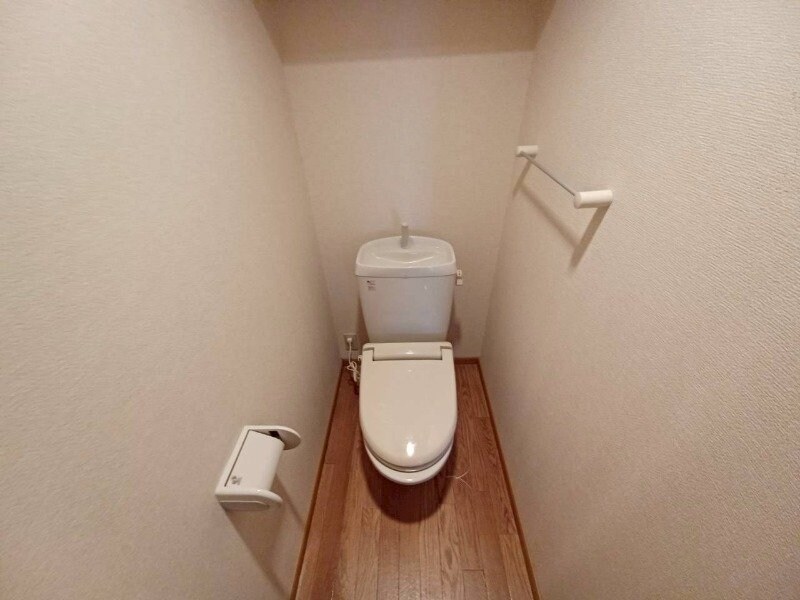 同型参考写真 オビー・ビュー