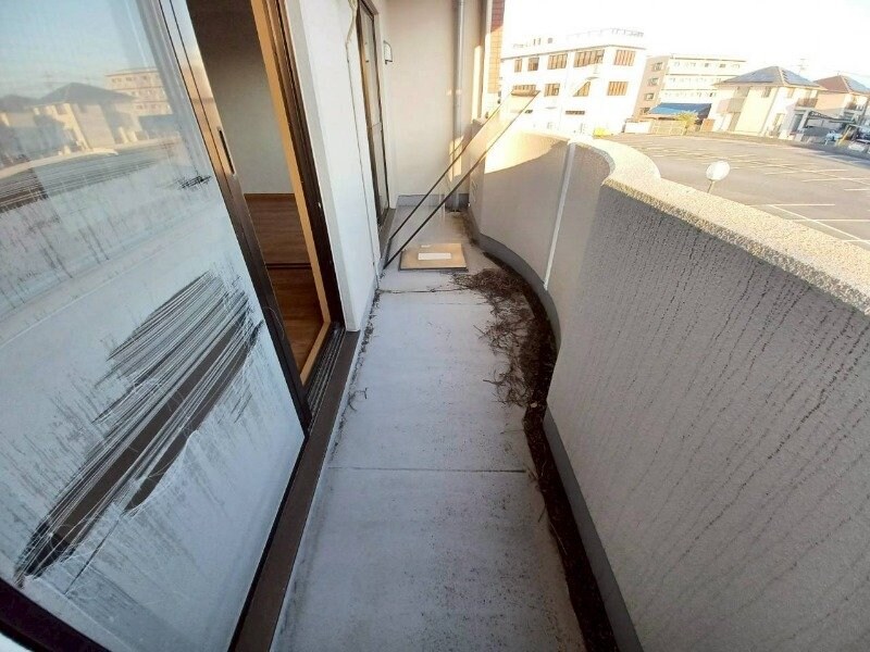 同型参考写真 オビー・ビュー