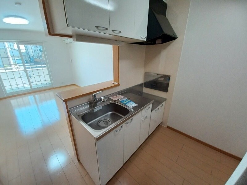 同型タイプ画像 パラッツォ