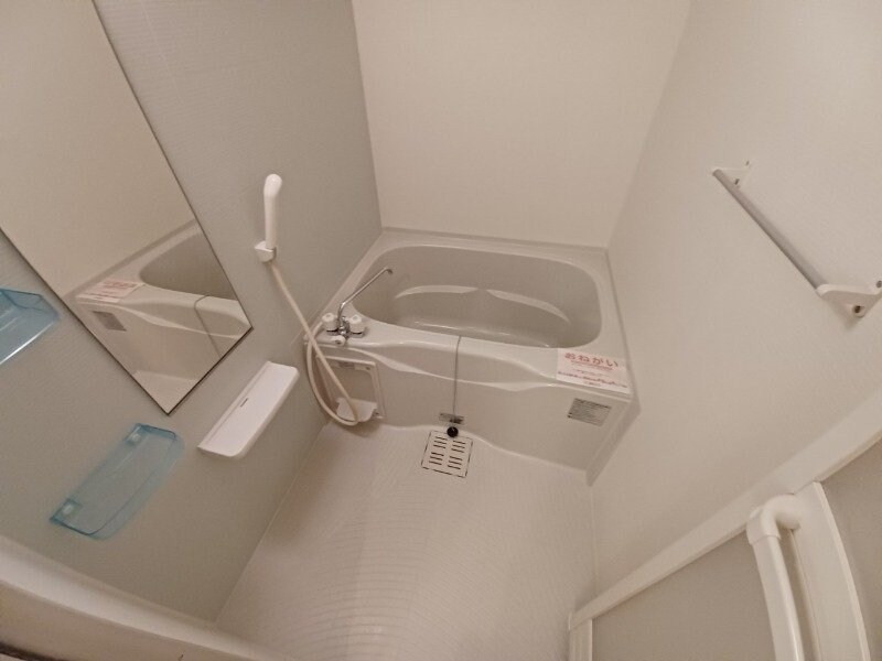 同型タイプ画像 パラッツォ