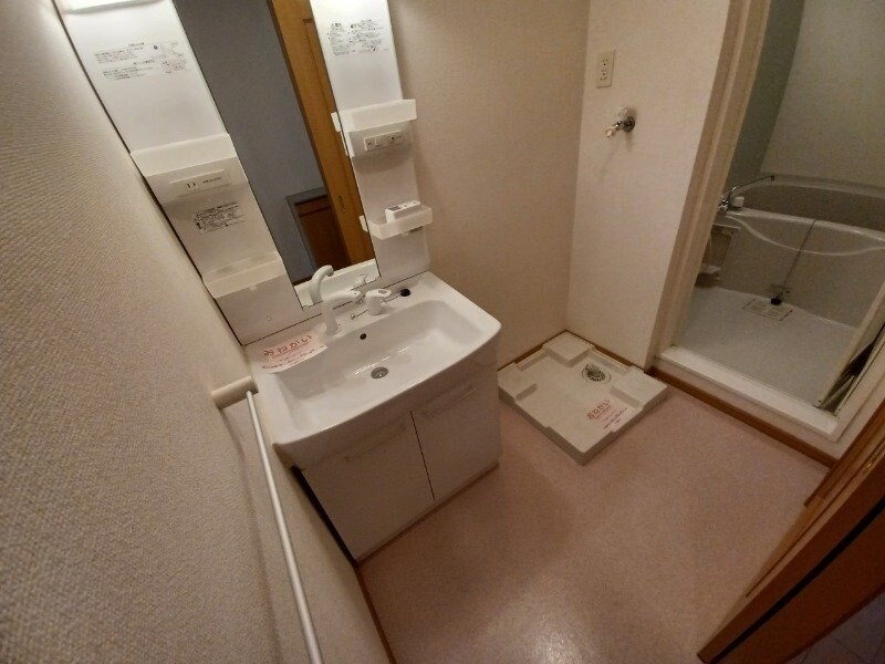 同型タイプ画像 パラッツォ