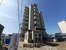 アンジューⅤ