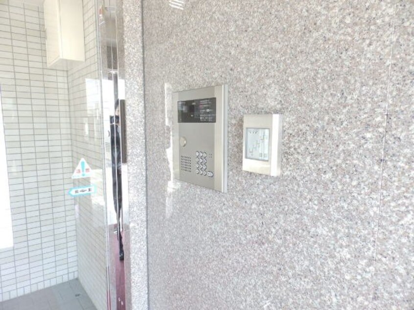  アンジューⅤ