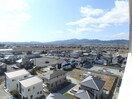  アンジューⅤ