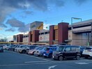 アピタ松阪三雲店(スーパー)まで557m アンジューⅤ