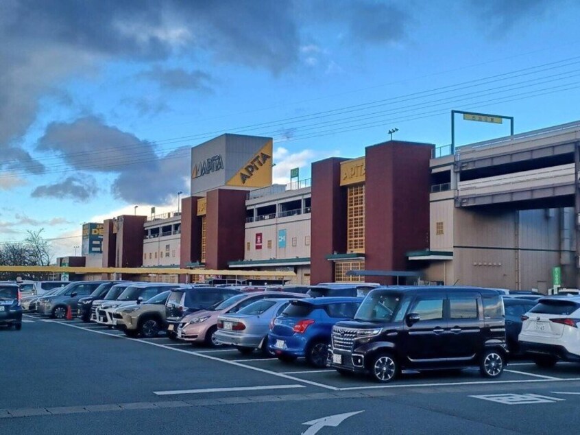アピタ松阪三雲店(スーパー)まで557m アンジューⅤ