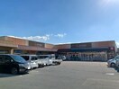 エーコープうれしの店(スーパー)まで1317m シャルム　Ｂ