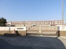 明和町立斎宮小学校(小学校)まで1914m カーサ・アティラン　Ｂ