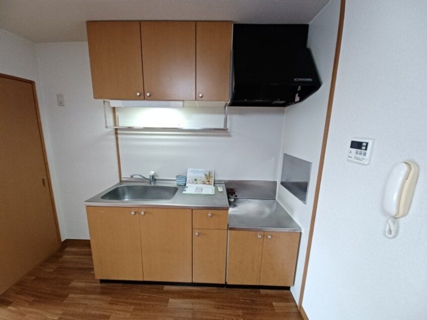 同型参考写真 エクセレンス