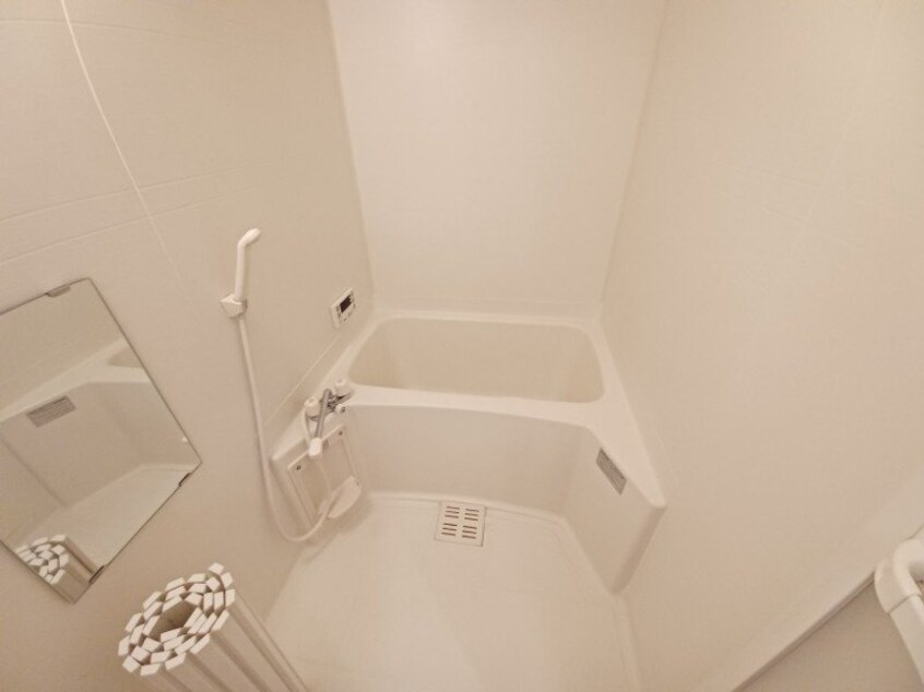 同型参考写真 エクセレンス