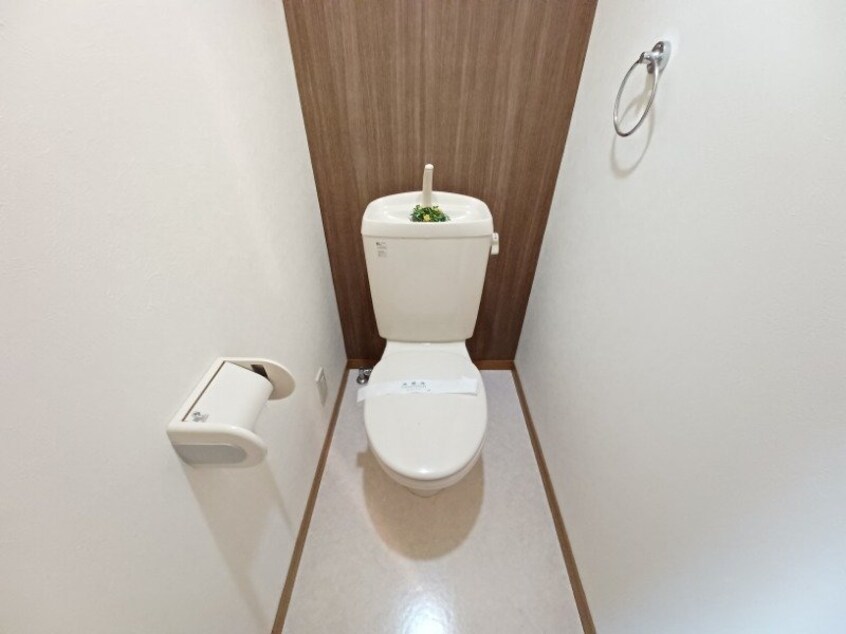 同型参考写真 エクセレンス