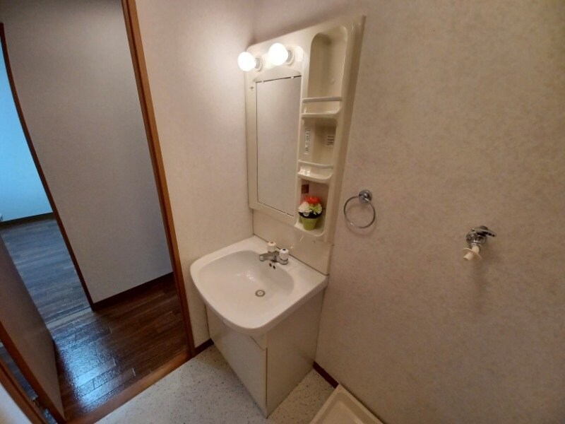 同型参考写真 エクセレンス