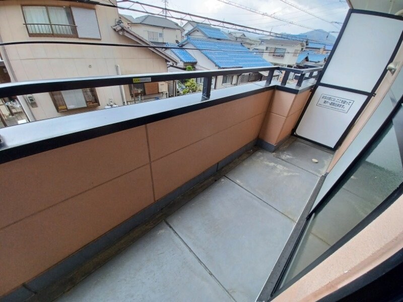 同型参考写真 エクセレンス