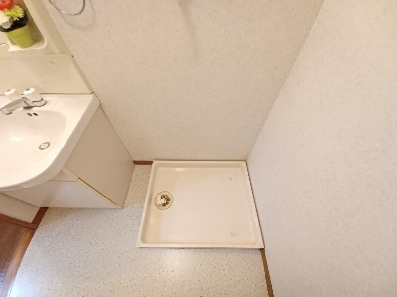 同型参考写真 エクセレンス