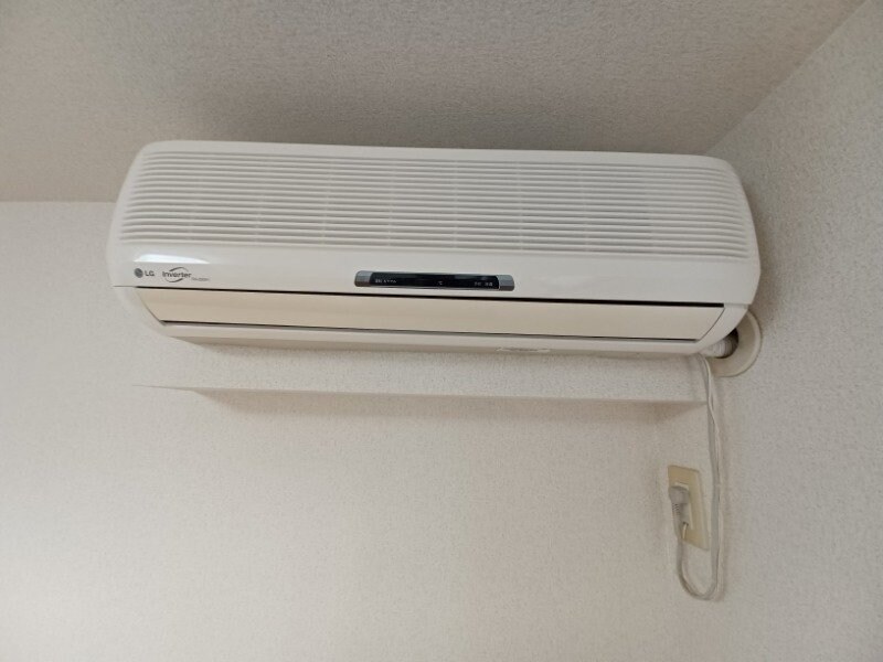 同型参考写真 エクセレンス