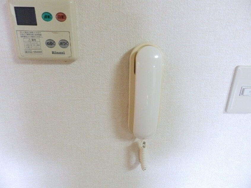 同型参考写真 エクセレンス