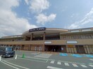 イオンタウン松阪船江(ショッピングセンター/アウトレットモール)まで1409m 船江町貸家