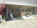 クローバーグリーンⅤ