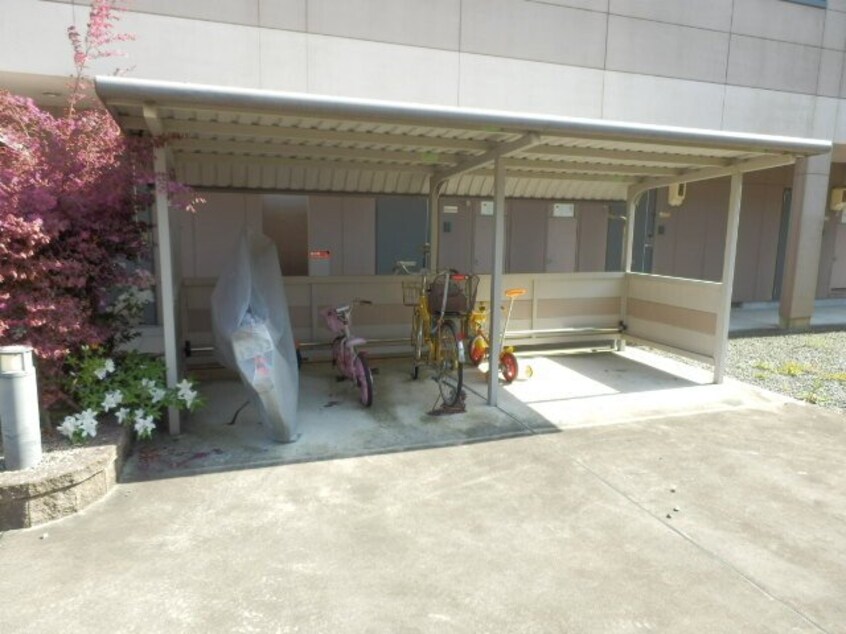  クローバーグリーンⅤ