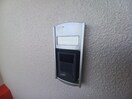 同型参考写真 ルピナス　Ａ棟