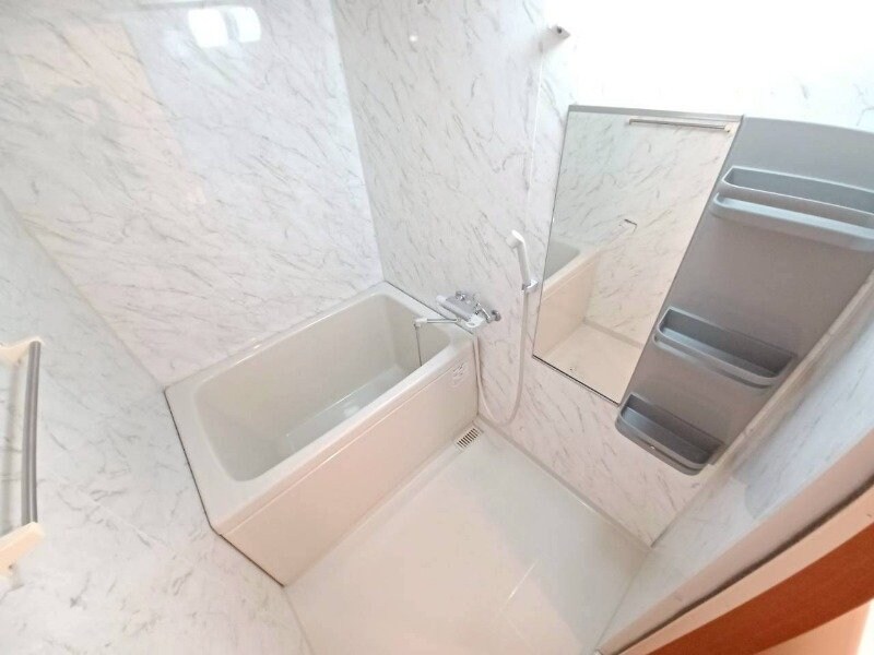 反転タイプ参考写真 アシューレＢ