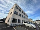 グレイスキシベの外観