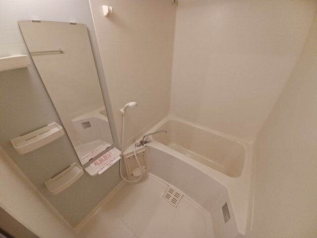  セレンディピティ