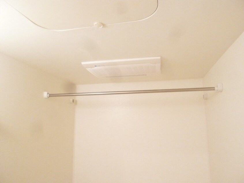  セレンディピティ