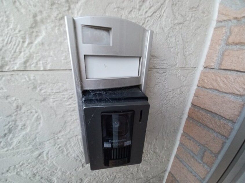  セレンディピティ