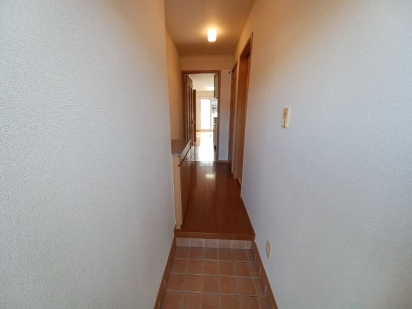  セレンディピティ