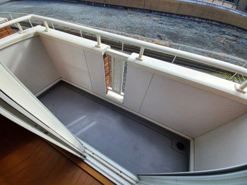  セレンディピティ