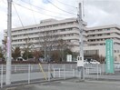松阪市立中川小学校(小学校)まで1100m 中川ファーストマンションⅤ