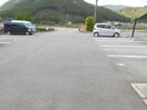  オルテンシア　アソ