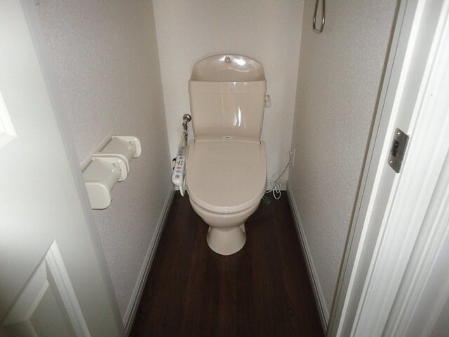 同型参考写真 オルテンシア　アソ